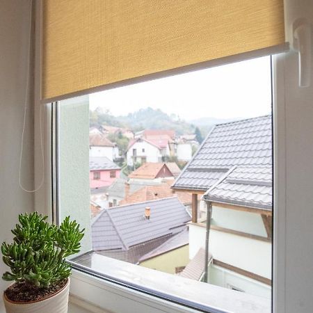 Brasha Residence Брашов Екстериор снимка